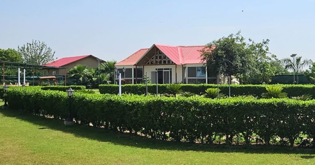 Birthday Party Ideas at Kids Adventure Hub Noida